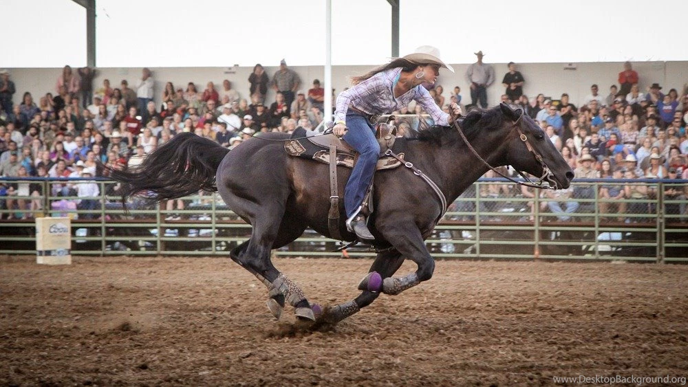 Rodeo Week: Roping And Barrel Racing