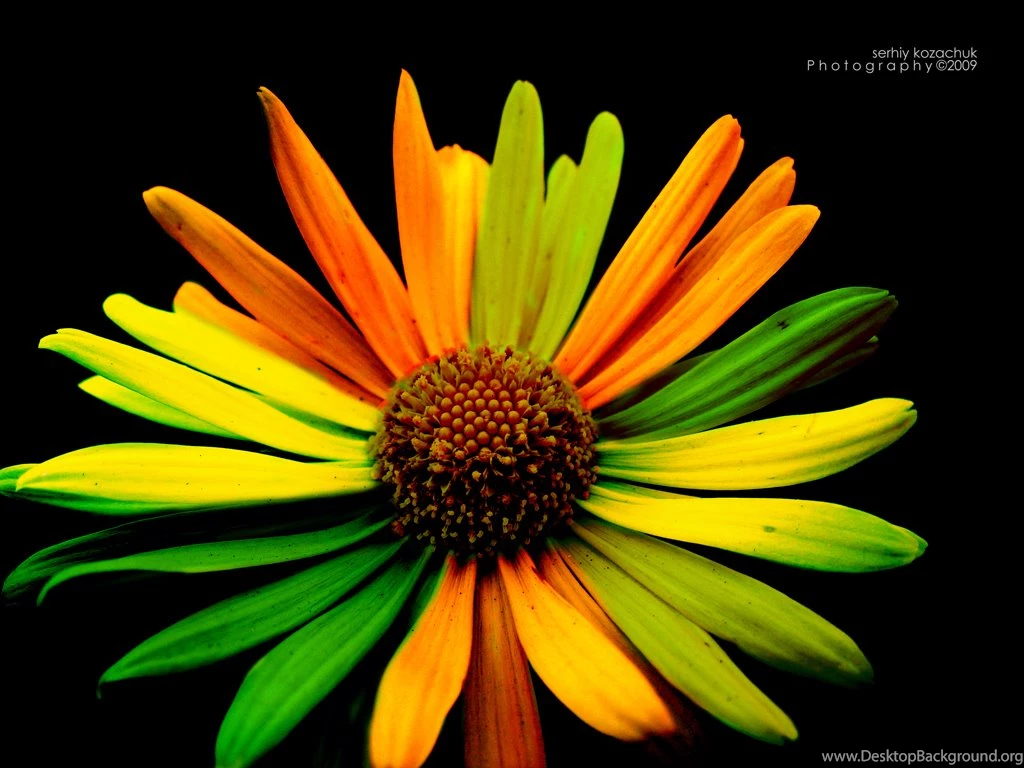 Best Desktop Wallpapers