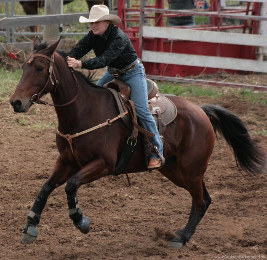 Barrelracing DeviantArt