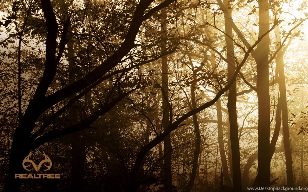 Realtree Wallpapers