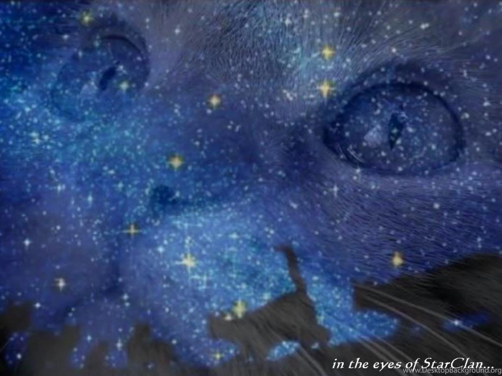 Warrior Cats Wallpapers Starclan