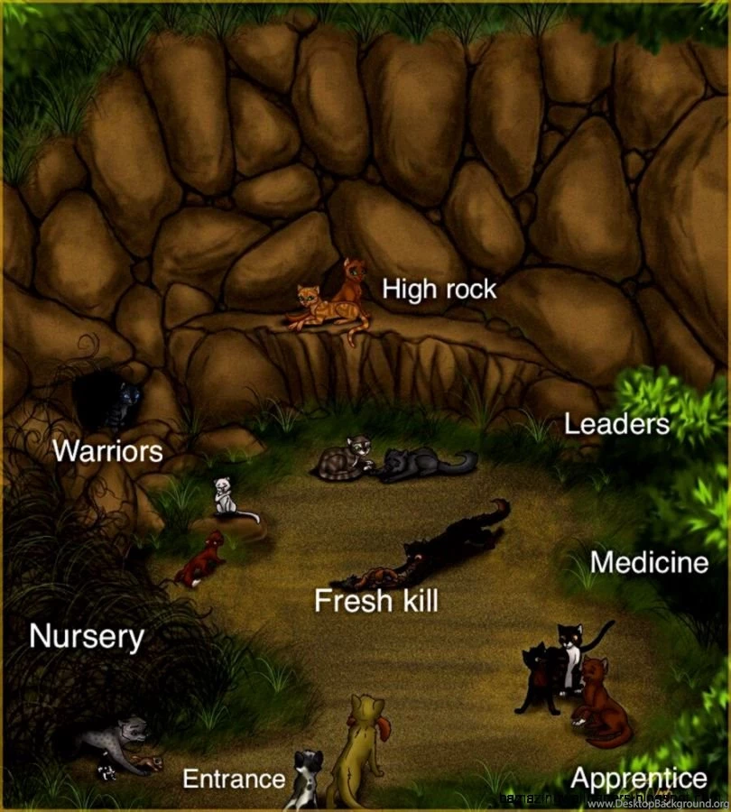 Warrior Cats Thunderclan Camp