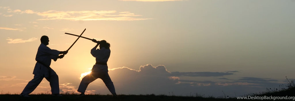 Karate Fight 3384×1160 Wallpapers 771731