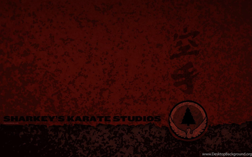 Wallpapers Karate Sharkey S Studios 1680x1050