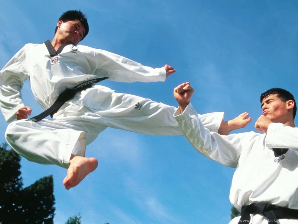 Free Wallpapers Offense Defense Karate 1024 X 768