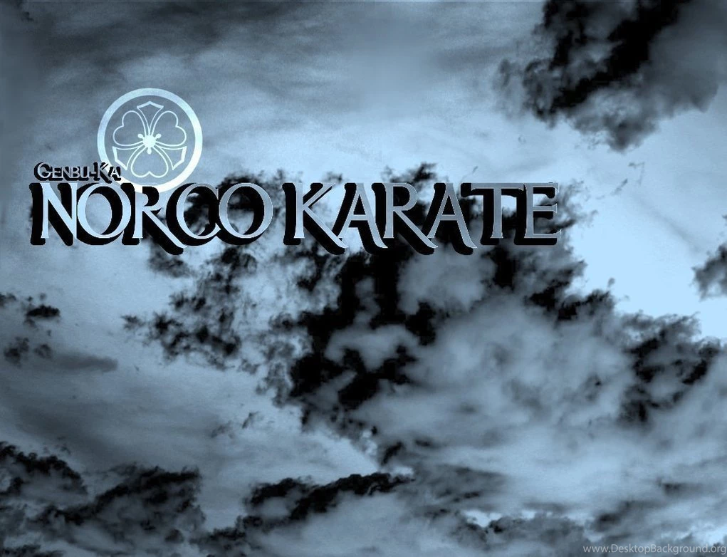 Norco Karate Wallpapers By Punkvmpr On DeviantArt