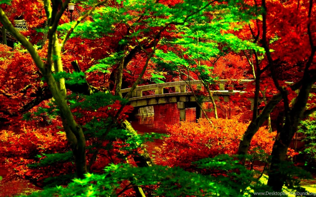 Japanese Garden Wallpapers Ideas 66842 Garden Design Segets.com