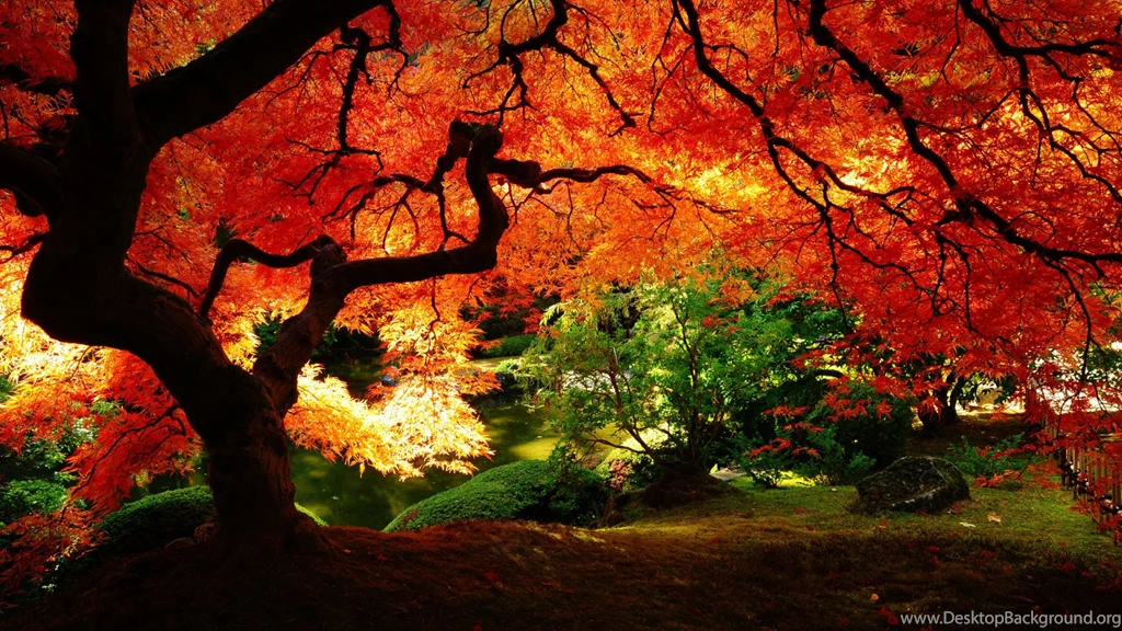 Japanese Garden [1920x1080] : Wallpapers