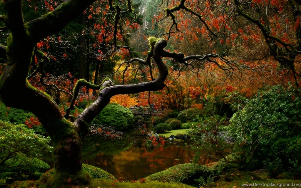 Gardens Wallpaper: Comfortable Spring Japanese Garden Wallpapers On ...