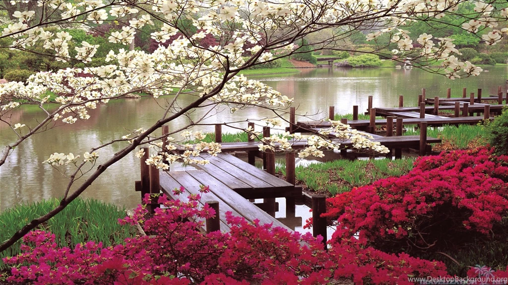 Japanese Nature Wallpapers – Nature Wallpapers