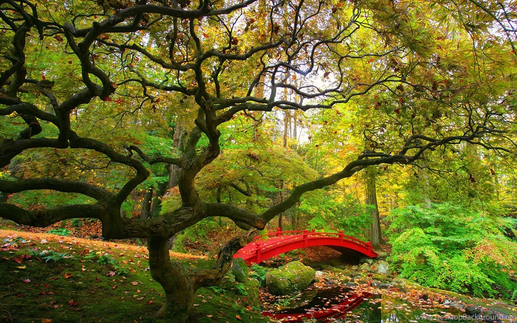 Gardens Wallpaper: Japanese Garden Wide Desktop Backgrounds ...