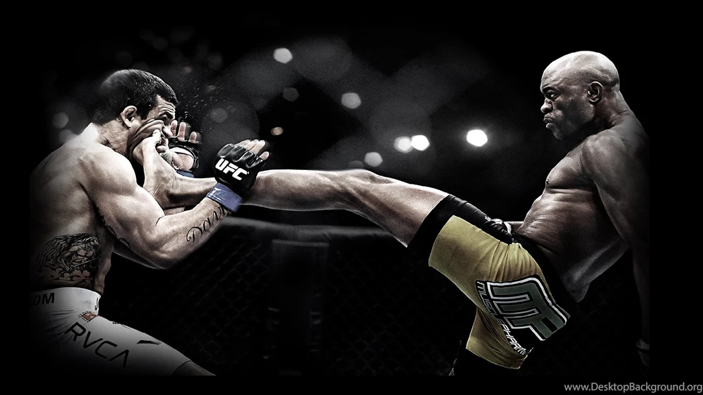UFC Fighting Wallpapers HD 2014