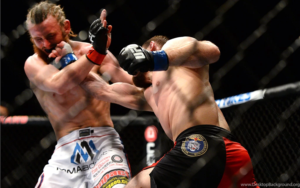 Ufc Wallpapers 34698 HD Wallpapers