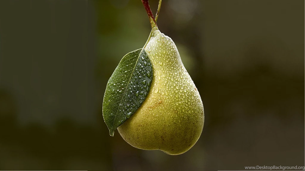 Pear Picture