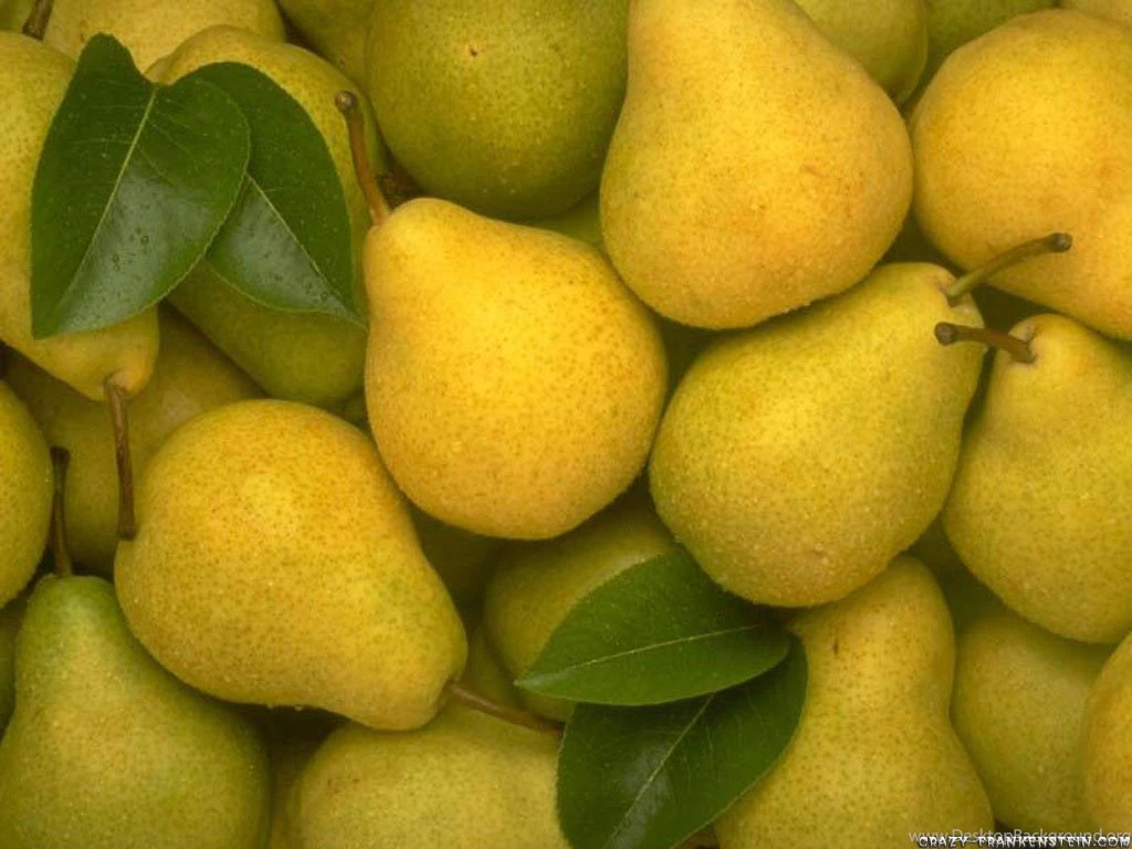 Free Pears Wallpapers