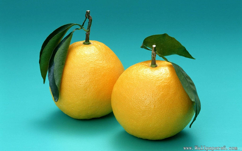 Pear - Cate Wallpapers Free Download Wallpapers,windows Xp ...