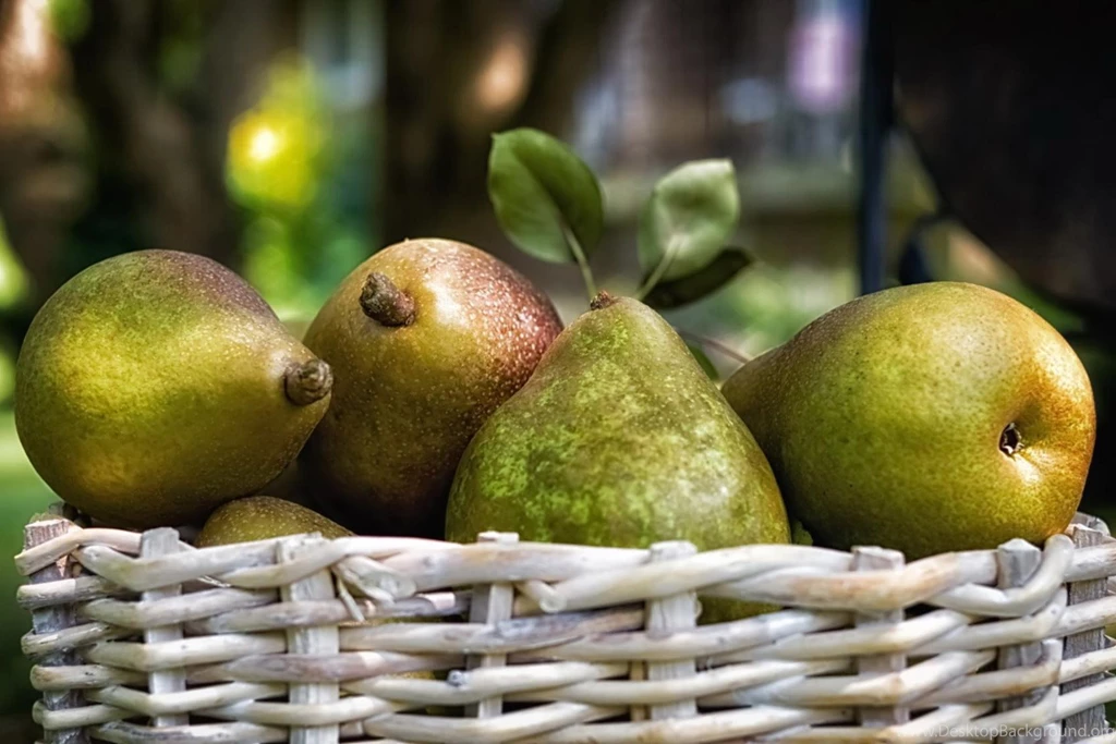 Pear Wallpapers HD