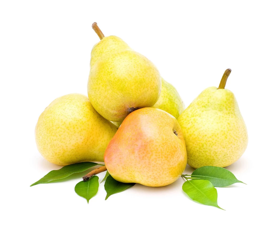 Pear 30027   Fruits And Vegetables   Harvest Season