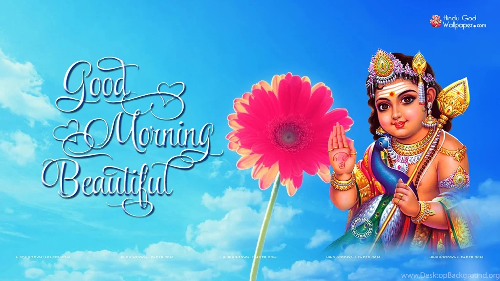 Good Morning Wallpapers With Flowers Images Free Download Desktop
