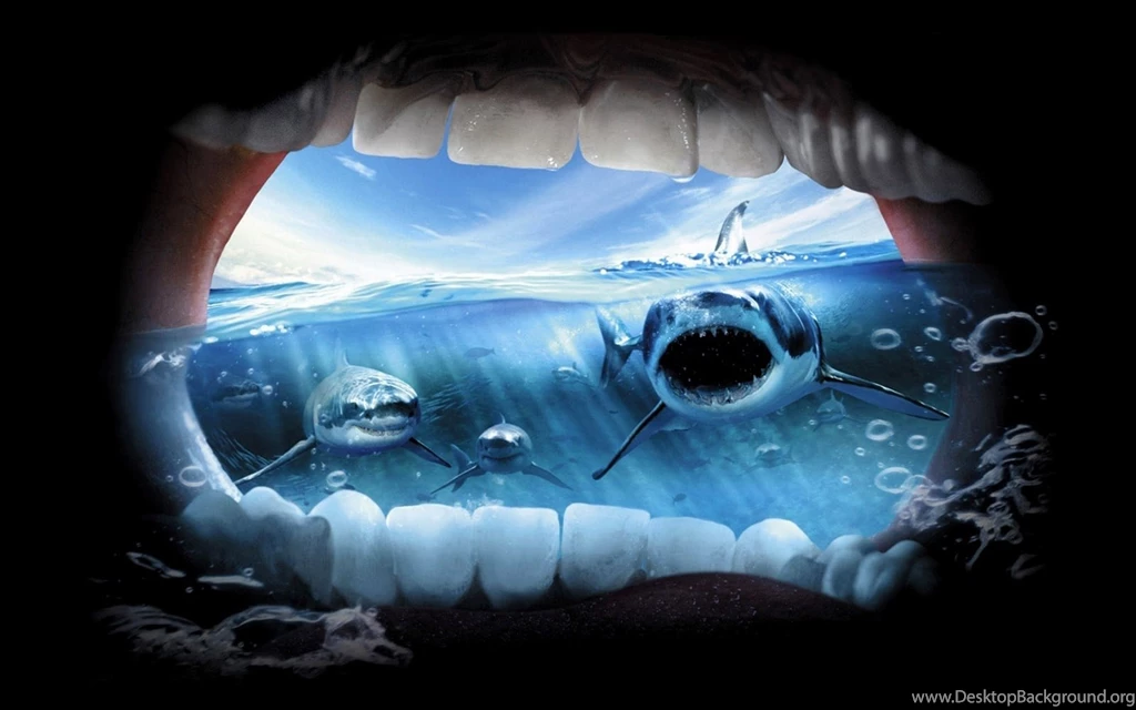 Download Wallpaper: , Teeth, Shark, Photo, Wallpapers For Desktop