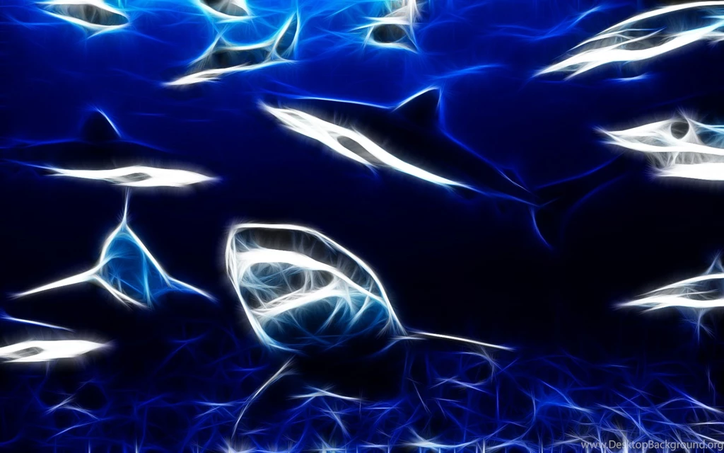 160 Shark HD Wallpapers