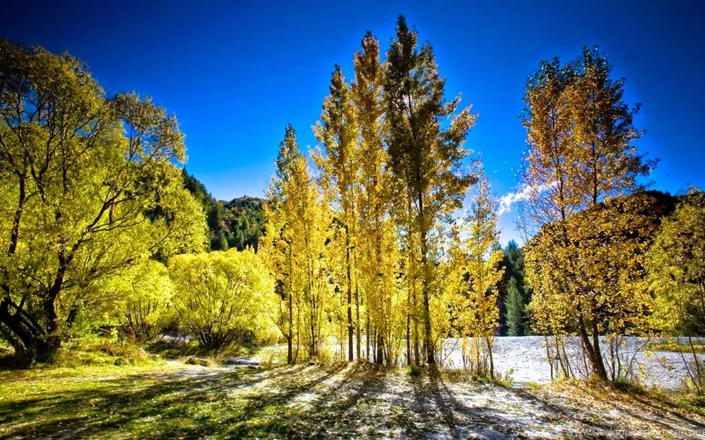 Wullus: Nature