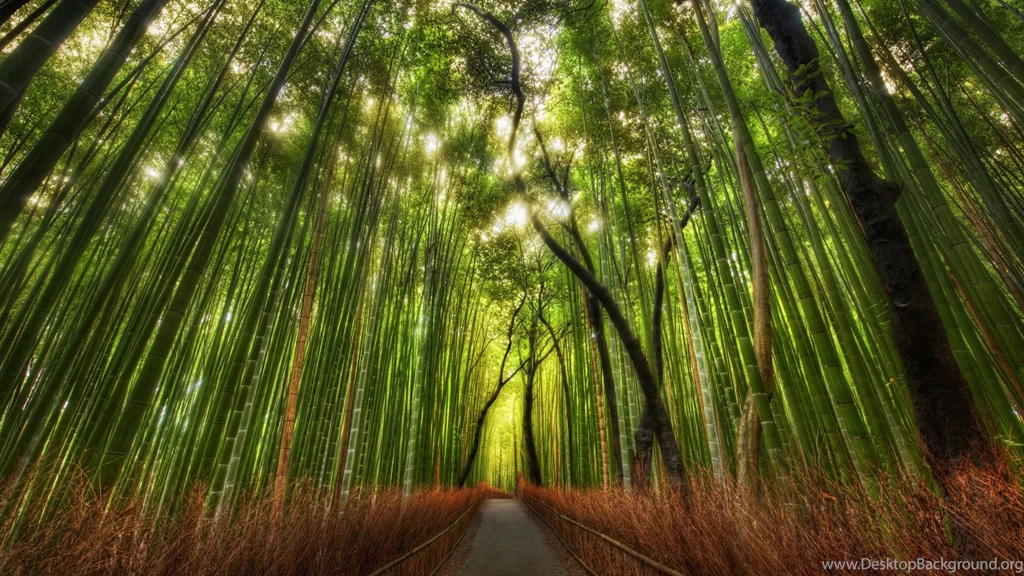 Nature Amazing Wallpapers HD