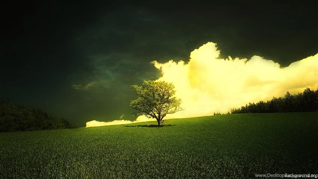 Free Wallpapers For Android Widescreen D3W » WALLPAPERUN.COM