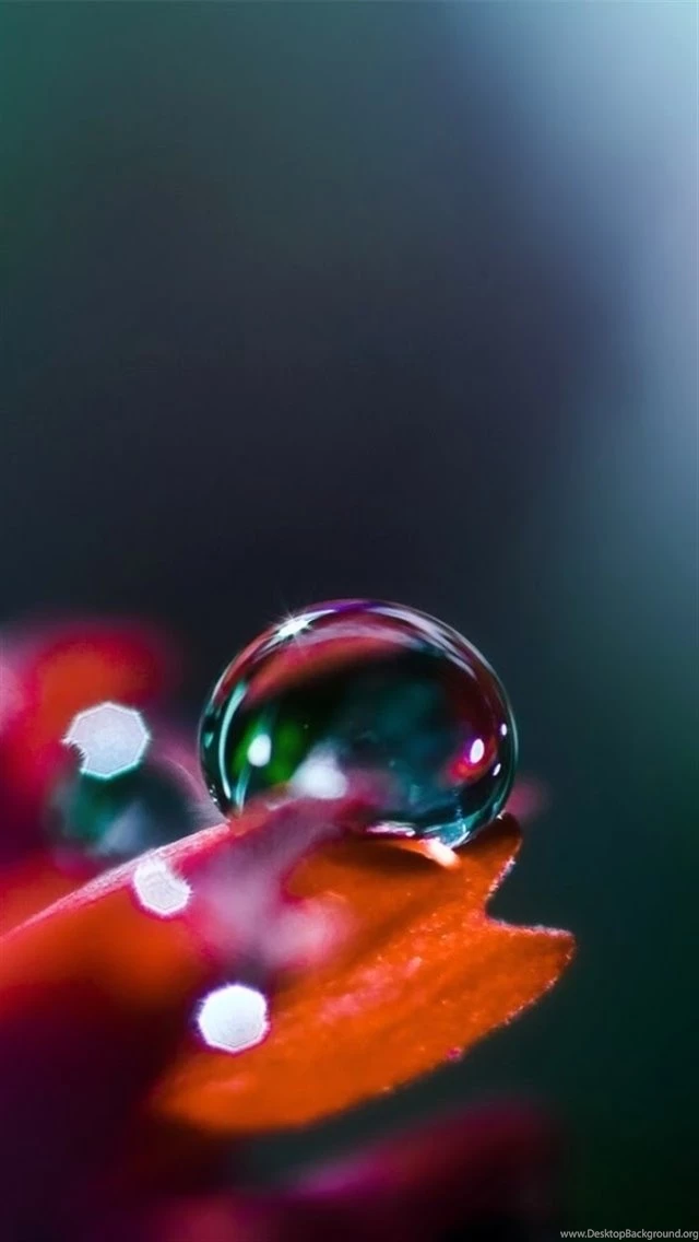 Very Nice Drops iPhone 5 Wallpapers