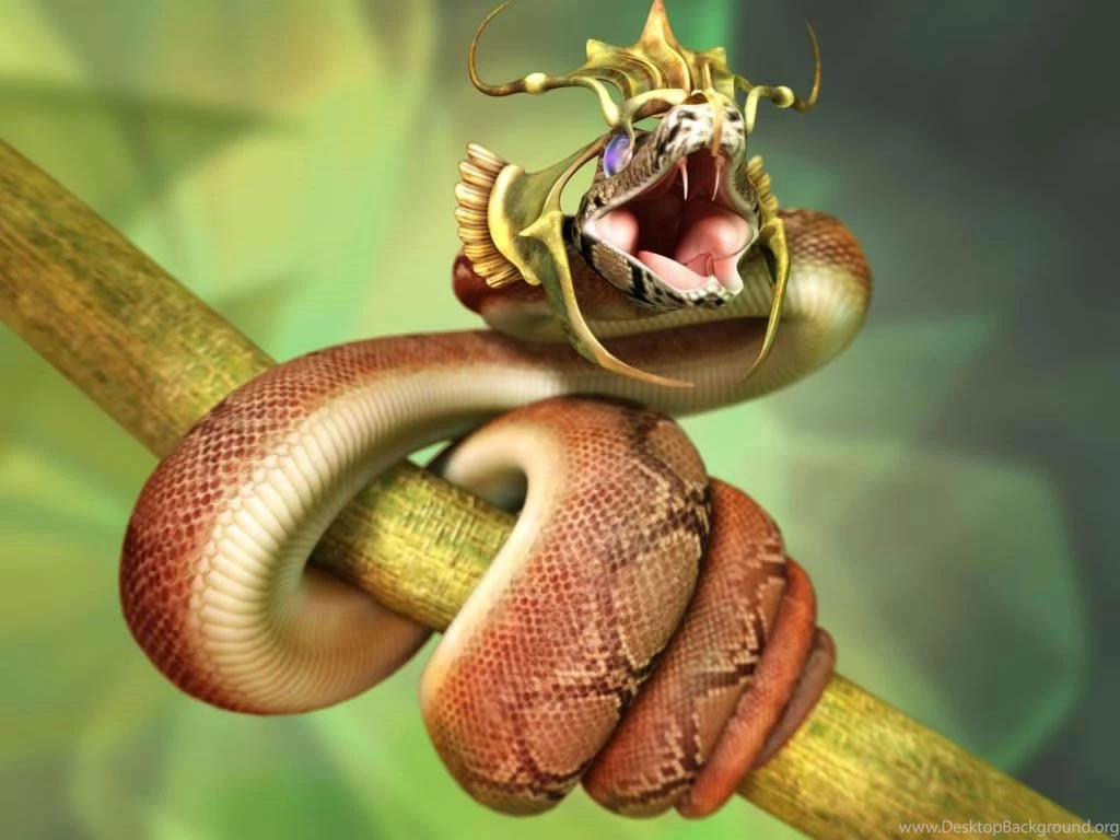 Snake Wallpapers