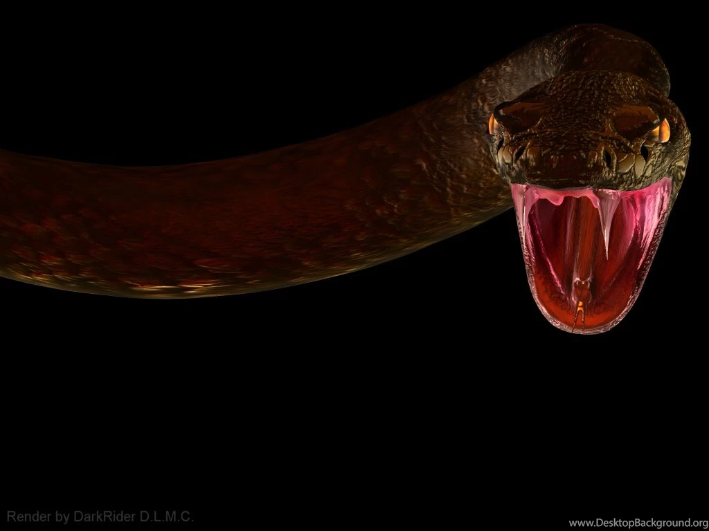 Viper Snake Wallpapers