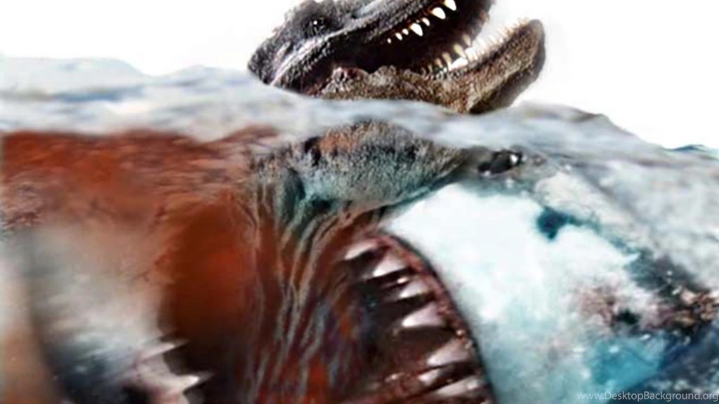 Megalodon Vs Tyrannosaurus 1920x1080 Wallpapers Download