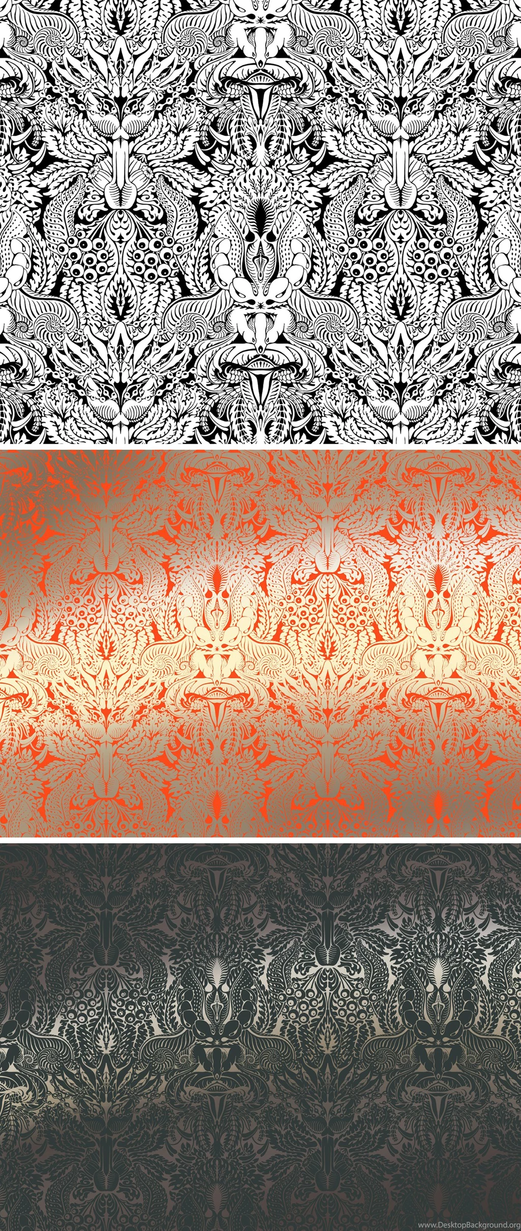 Anatomy Of The Flower