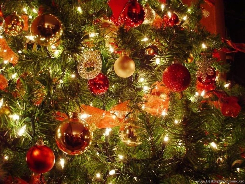 Amazing Christmas Joy Decorated Tree