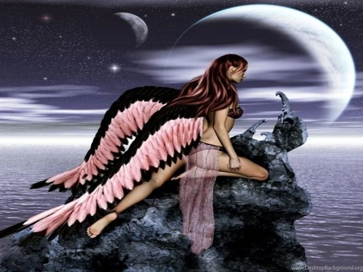 ANGEL WINGS Wallpapers Download The Free PINK & BLACK ANGEL WINGS ...