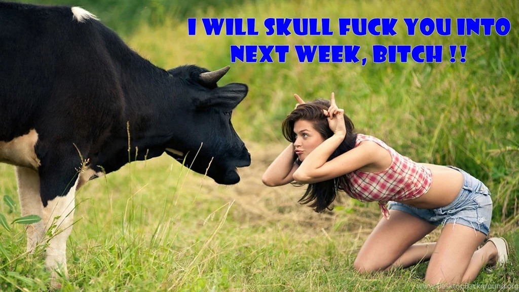 Funny Jokes Wallpaper, Funny Jokes Wallpapers