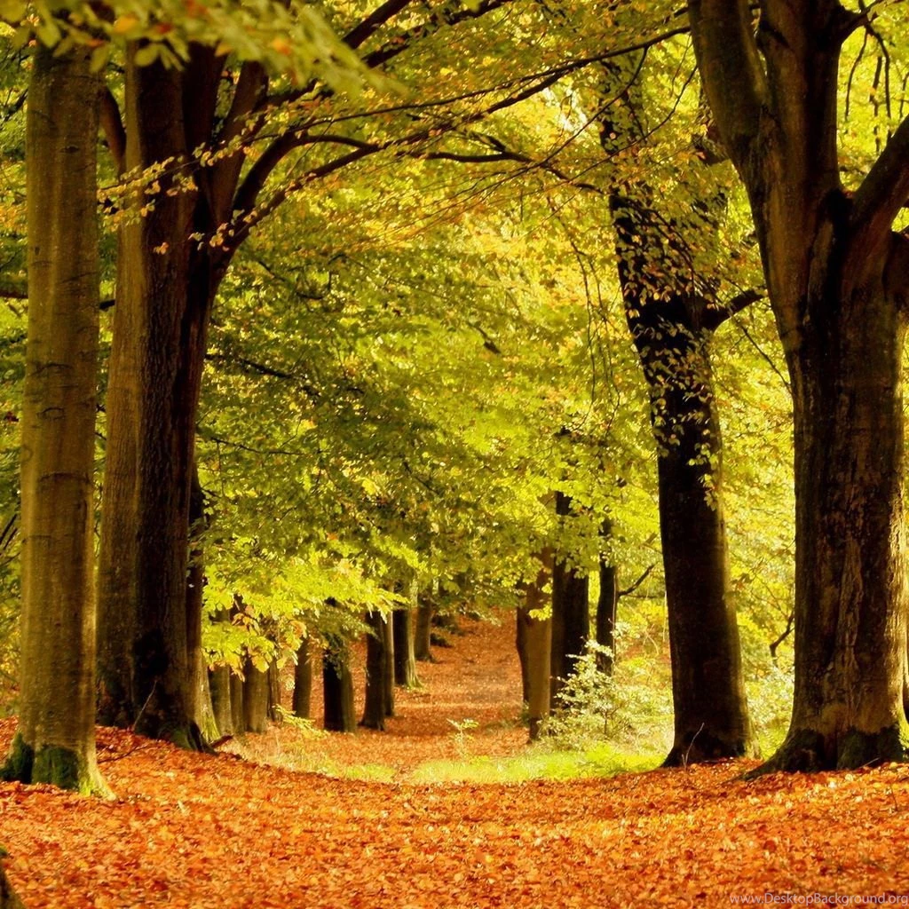 Beautiful Nature Scenery Wallpapers