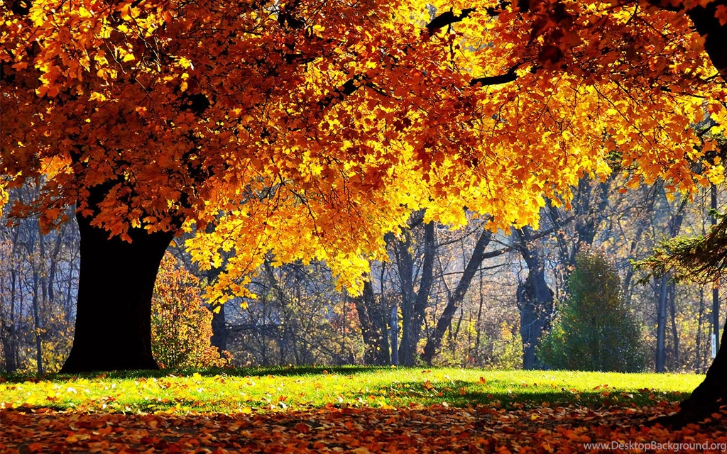 Fall Scenic Pictures Desktop Backgrounds