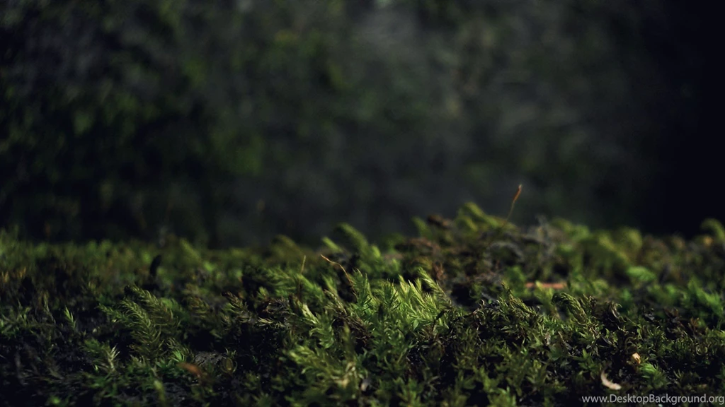 Download Landscapes Dark Wallpapers 1920x1080