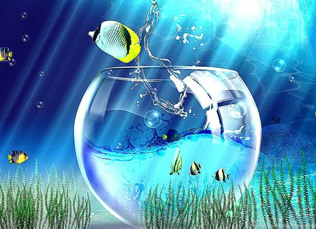 Fish_animation_wallpaper_free_download_2.jpg