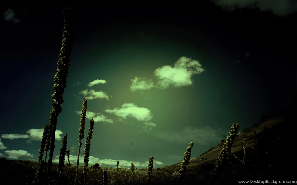 Wallpapers : OFF Topic