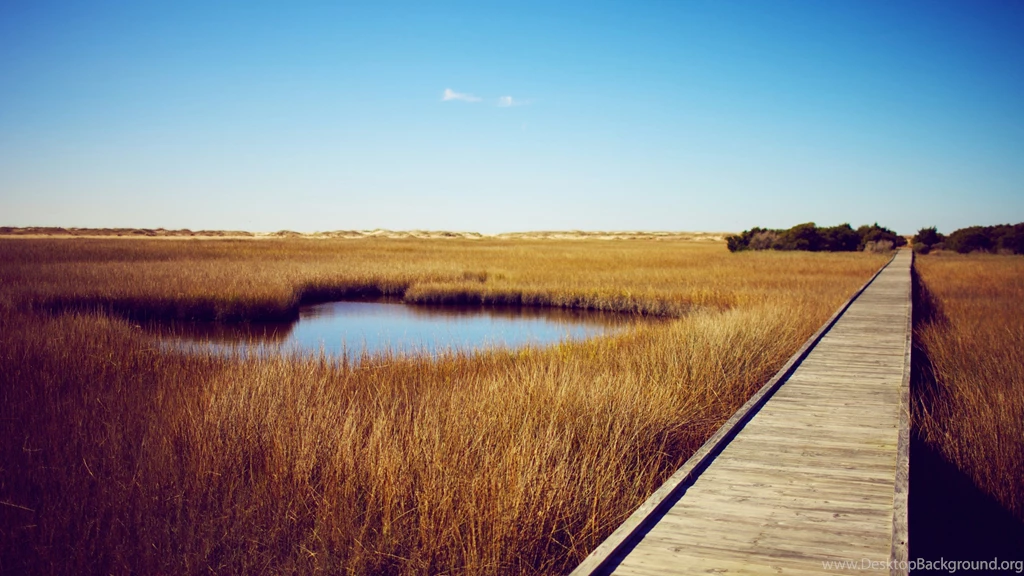 Beautiful, Wooden, Path, Wallpaper, Widescreen, Full, Hd, Desktop ...