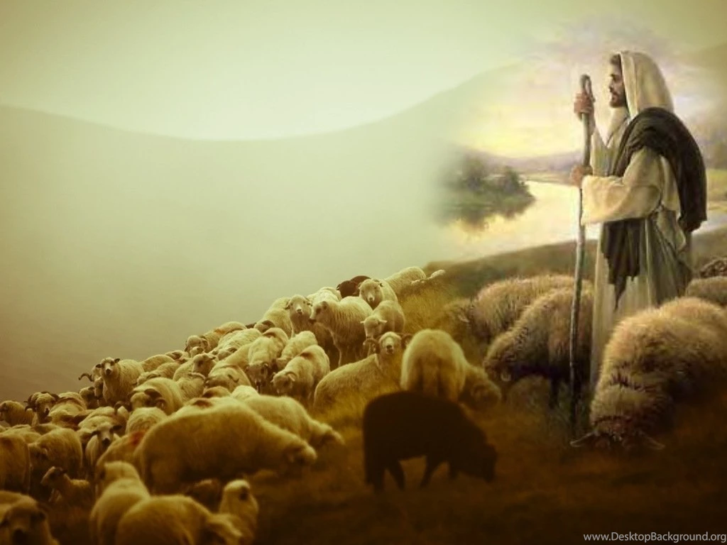 Jesus Shepherd Images   Wallpapers High Definition