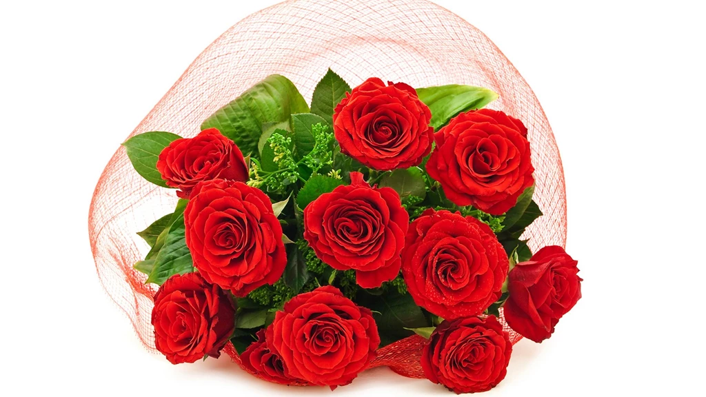 Beautiful Roses