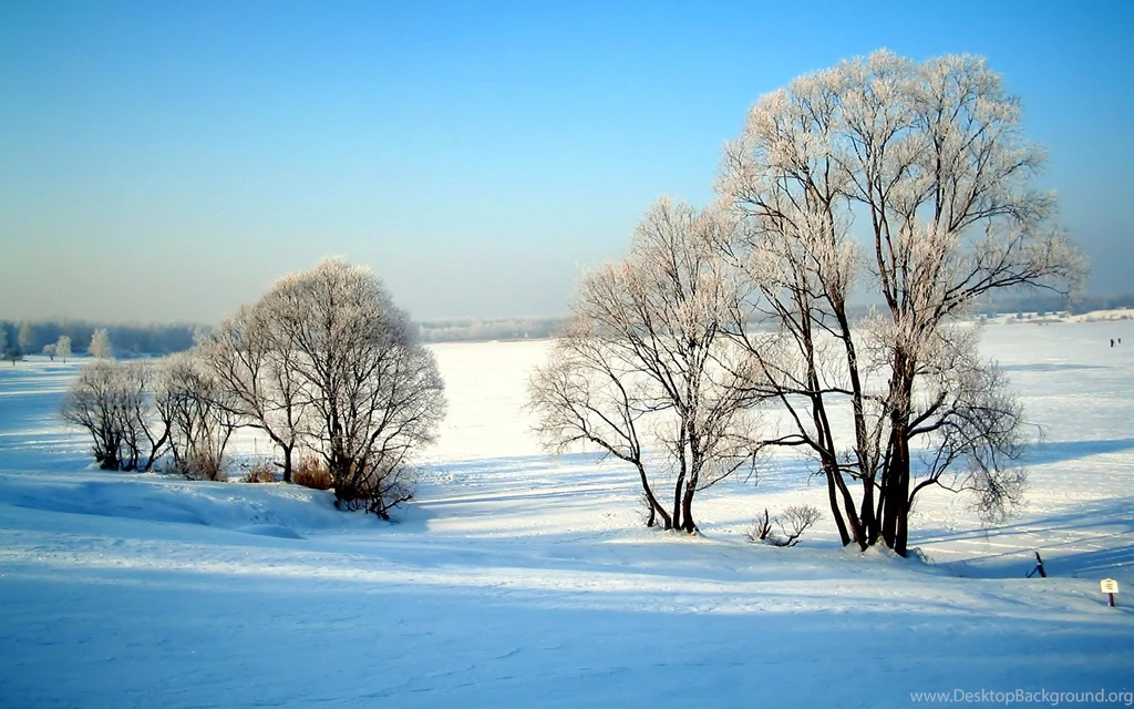 1920*1200 Widescreen Winter Snow Scenes Dreamy Winter Snow ...