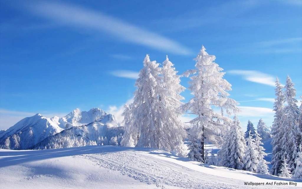 Free Hd Winter Wallpapers For Desktop Images