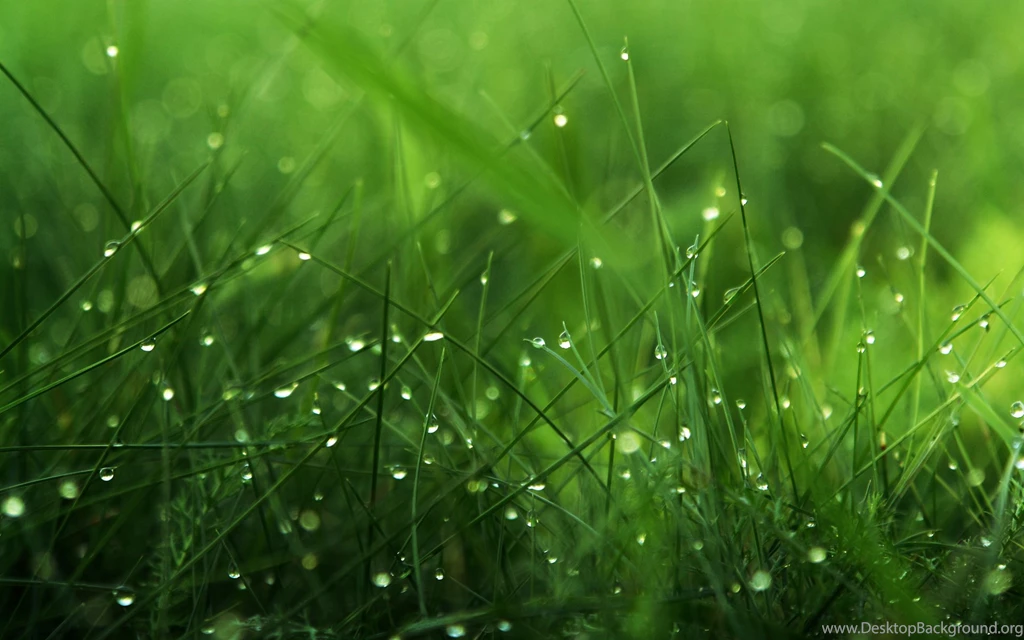 Windows 7 hd nature finest wallpapers.jpg