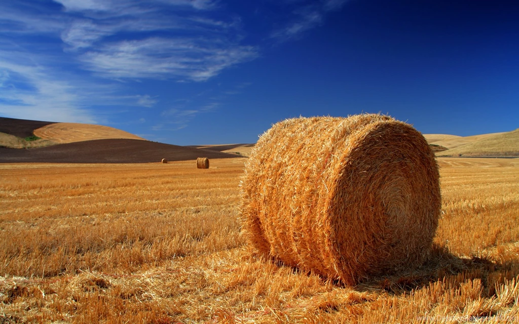 Windows 7 wallpapers 1920x1200 32