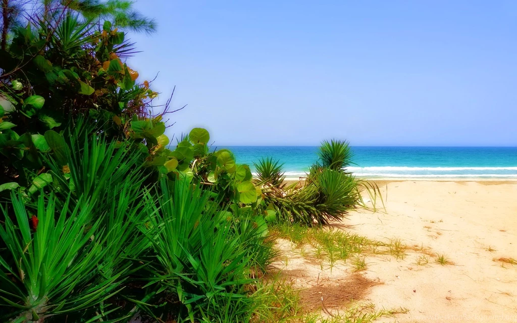 100% Desktop Quality HD Wallpapers 1080p Free Download: Top 28 ...