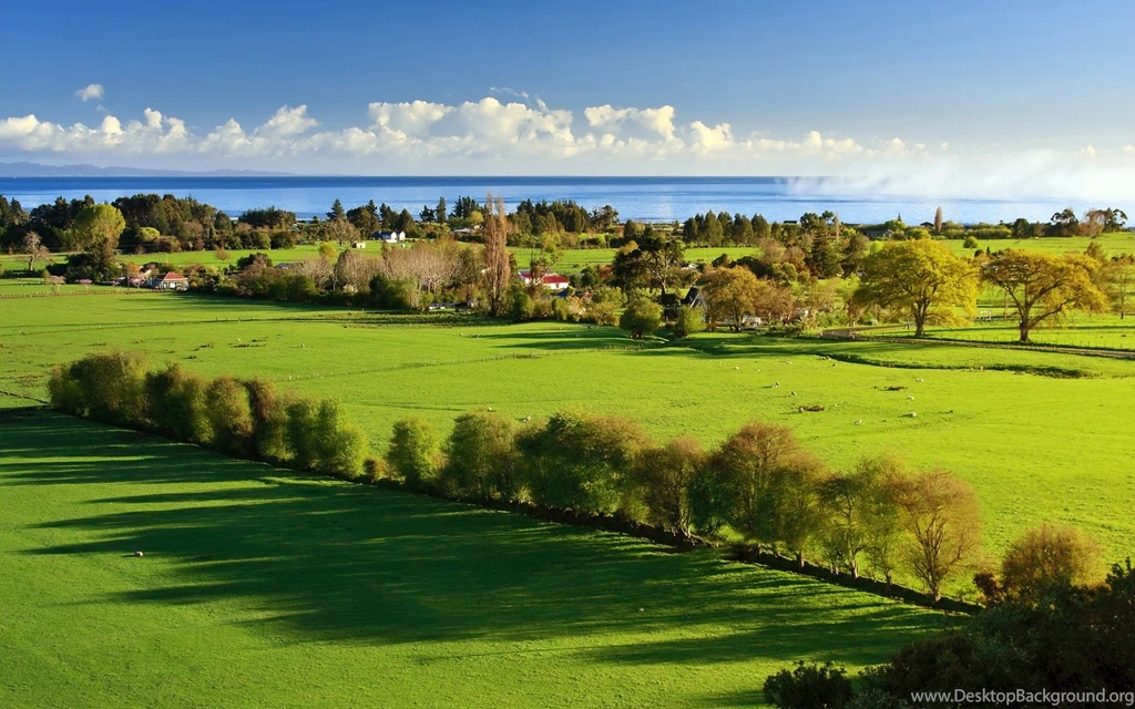 3d Wallpapers: Widescreen Nature Wallpapers High Resolution
